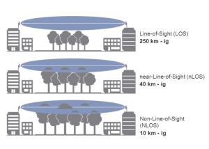 Cambium_abra12